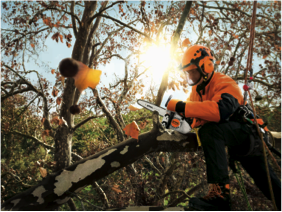STIHL sponsor image
